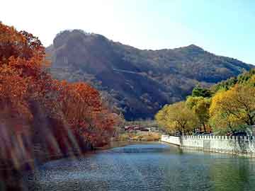 新澳天天开奖资料大全旅游团，暴躁小说